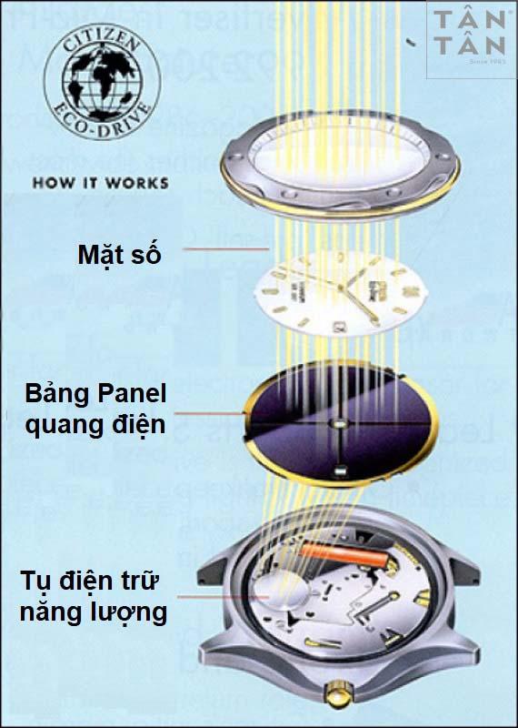 ĐỒNG HỒ CITIZEN ECO-DRIVE HOẠT ĐỘNG KHÔNG CẦN PIN