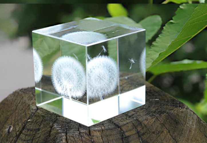 Những món quà ý nghĩa trong dịp tết