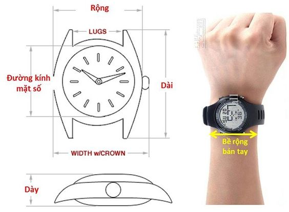 Hướng dẫn cách đo size đồng hồ phù hợp kích thước cổ tay